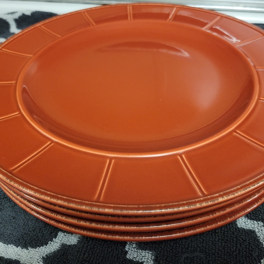 Set of 4 Dinner Plates